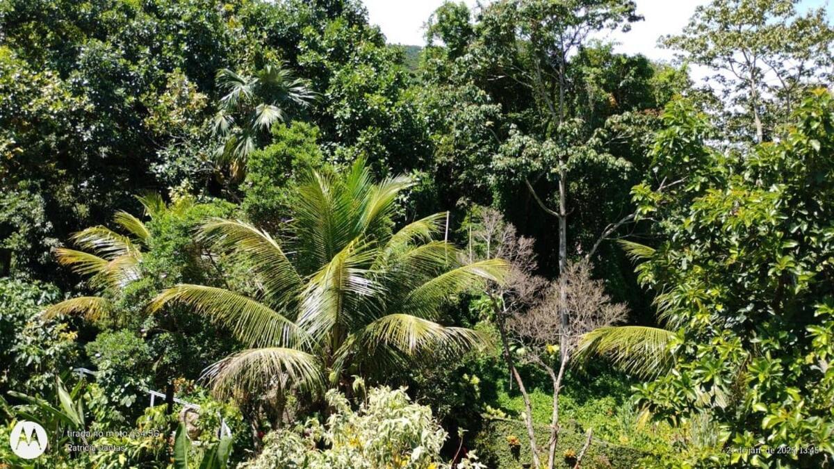 Сasa de vacaciones Casa Zona Sul Jardim Botanico Vista O Cristo Redentor Unica Com Rio Passado Na Porta Preferida Dos *