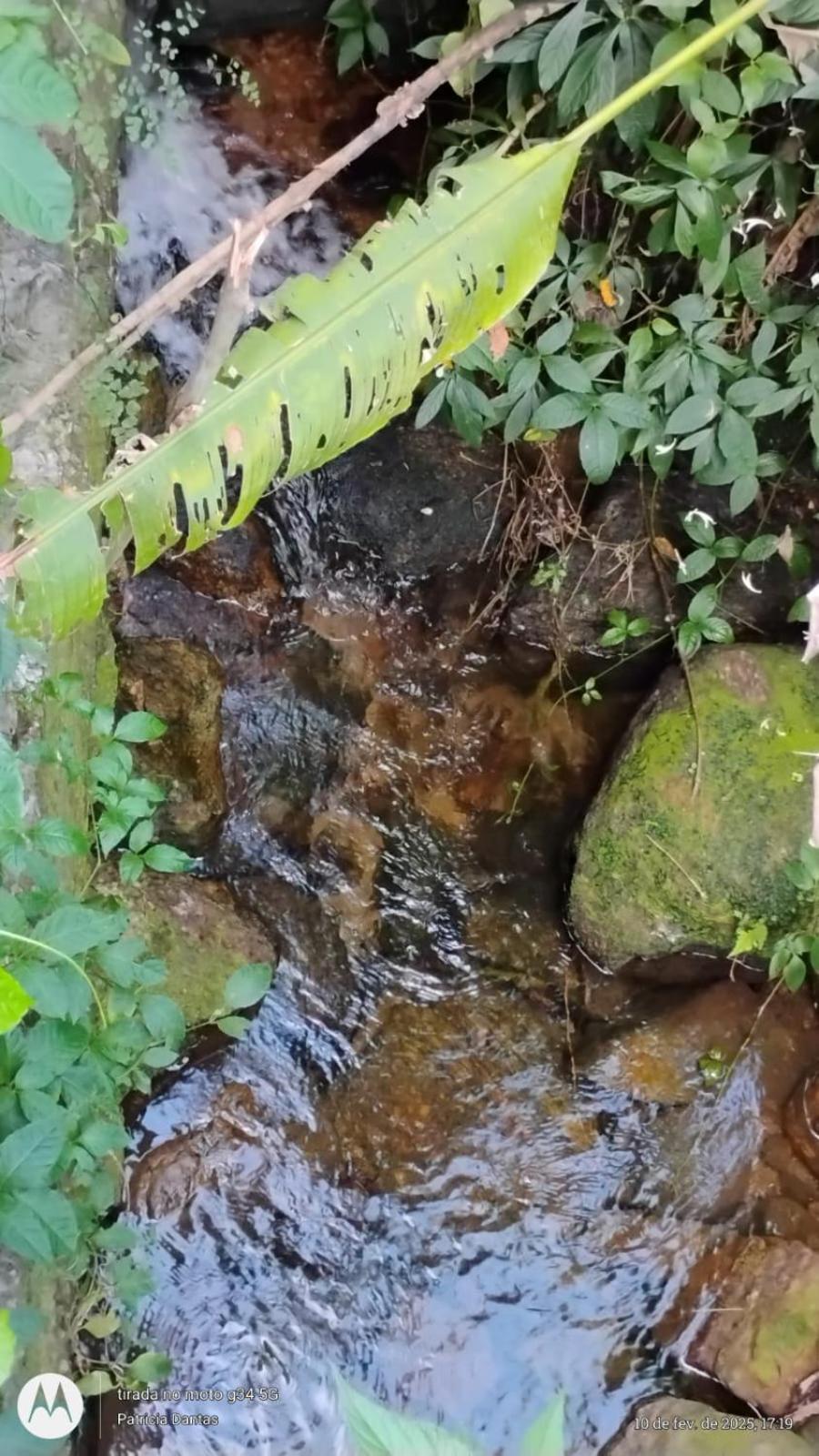 Casa Zona Sul Jardim Botanico Vista O Cristo Redentor Unica Com Rio Passado Na Porta Preferida Dos * Río de Janeiro